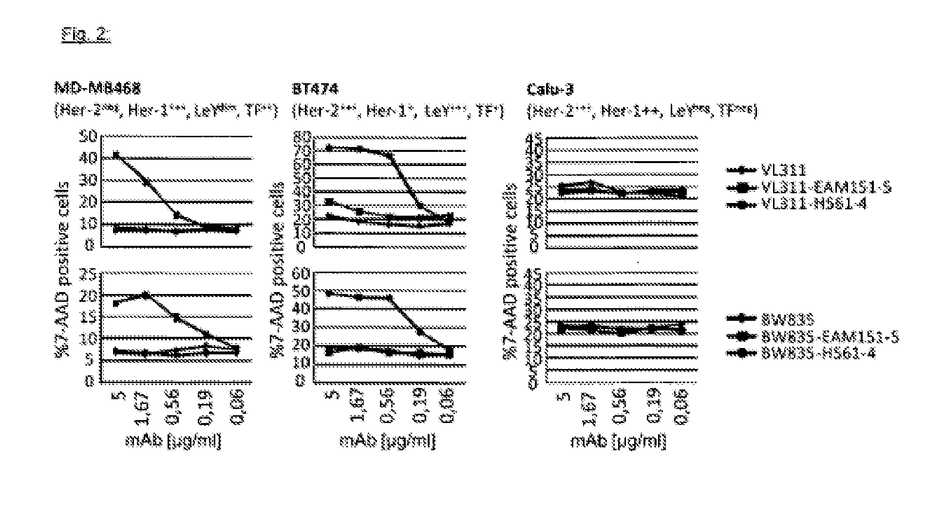 Multispecific modular antibody