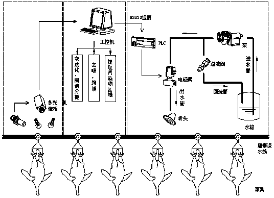 System for detecting and processing contaminants on surfaces of poultry carcasses online