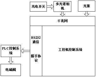 System for detecting and processing contaminants on surfaces of poultry carcasses online