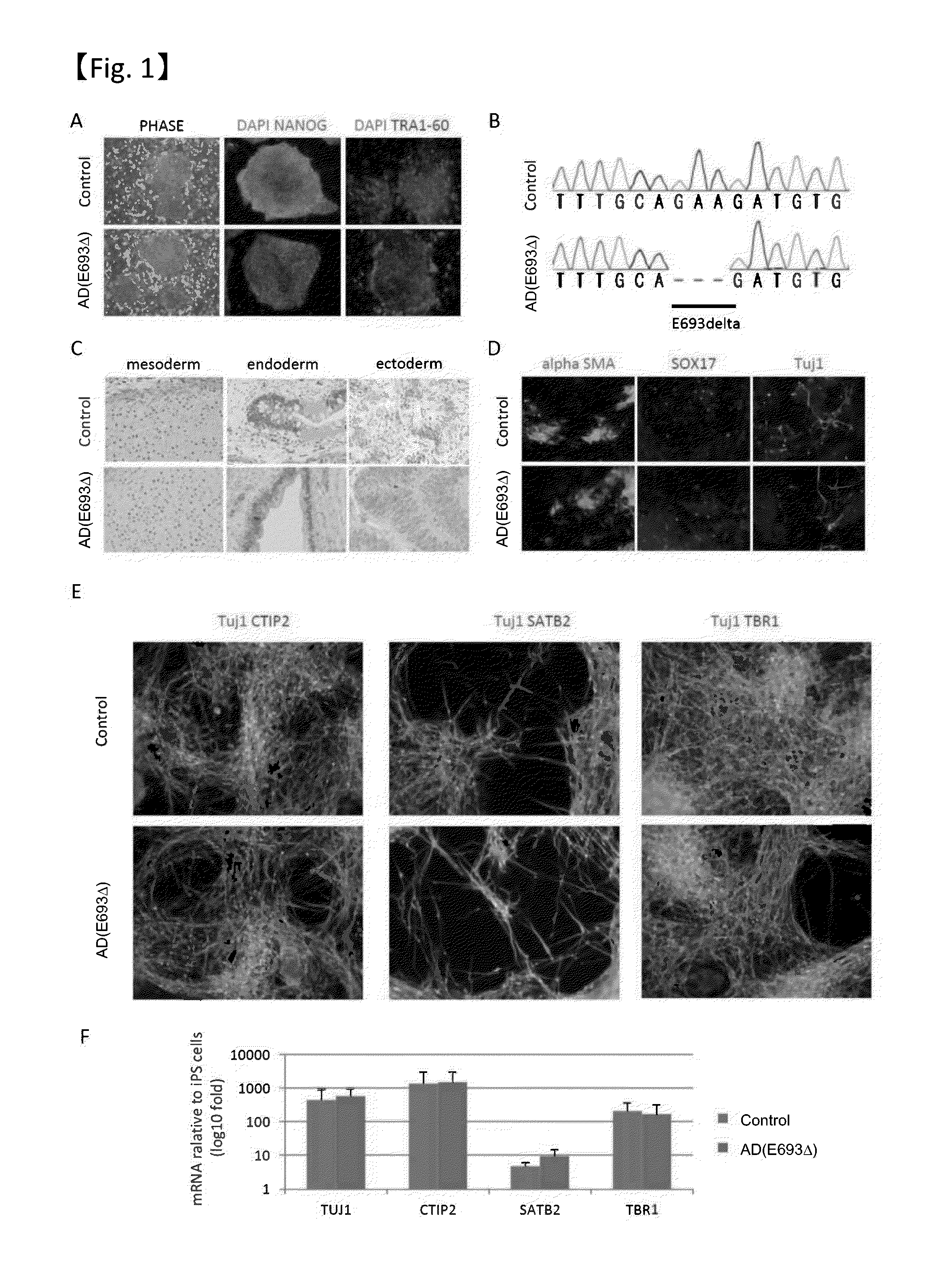 Method for screening therapeutic and/or prophylactic agents for alzheimer's disease