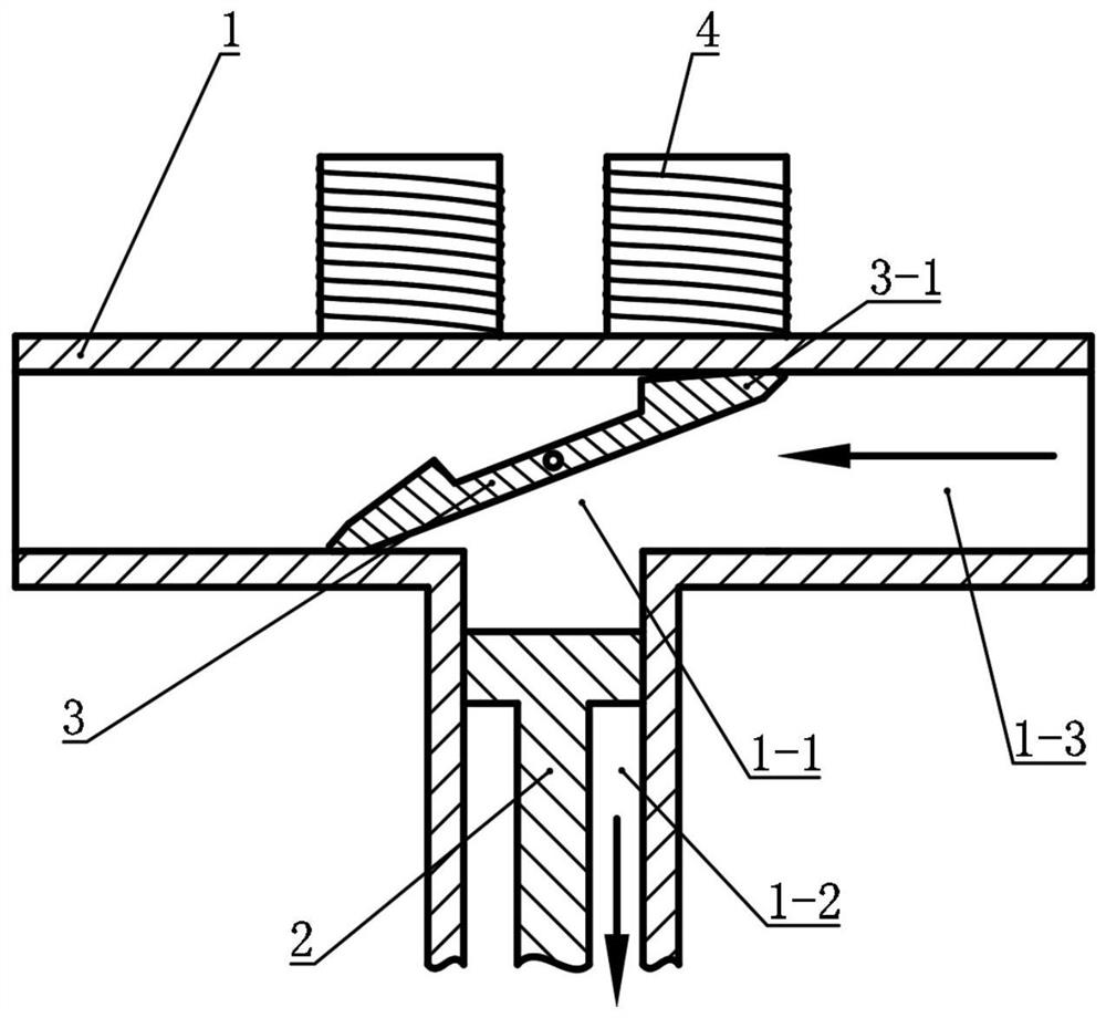 A bidirectional metering pump and liquid pumping method thereof