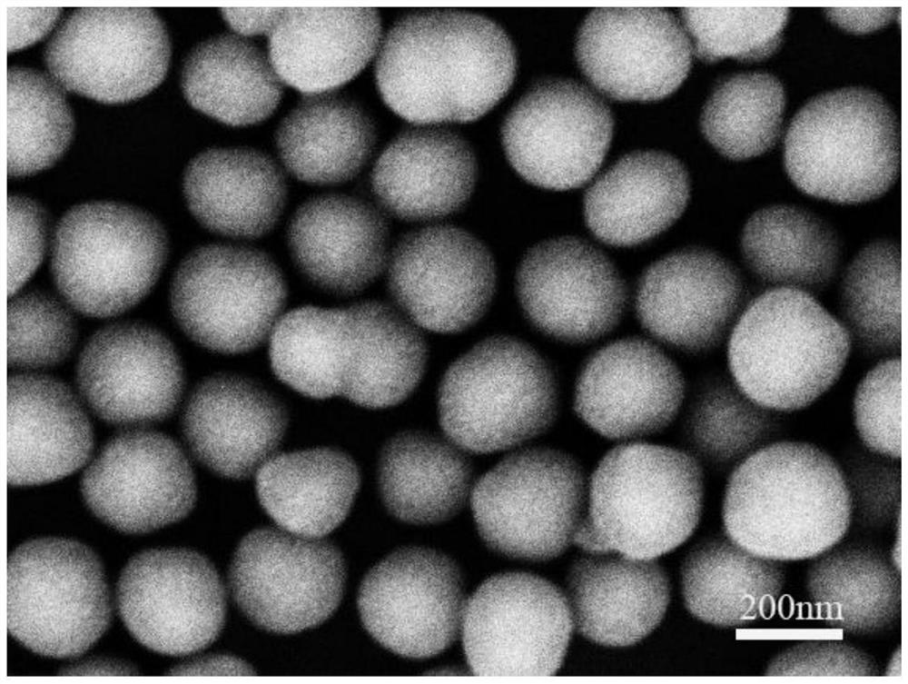 Preparation method of magnetic nanowire