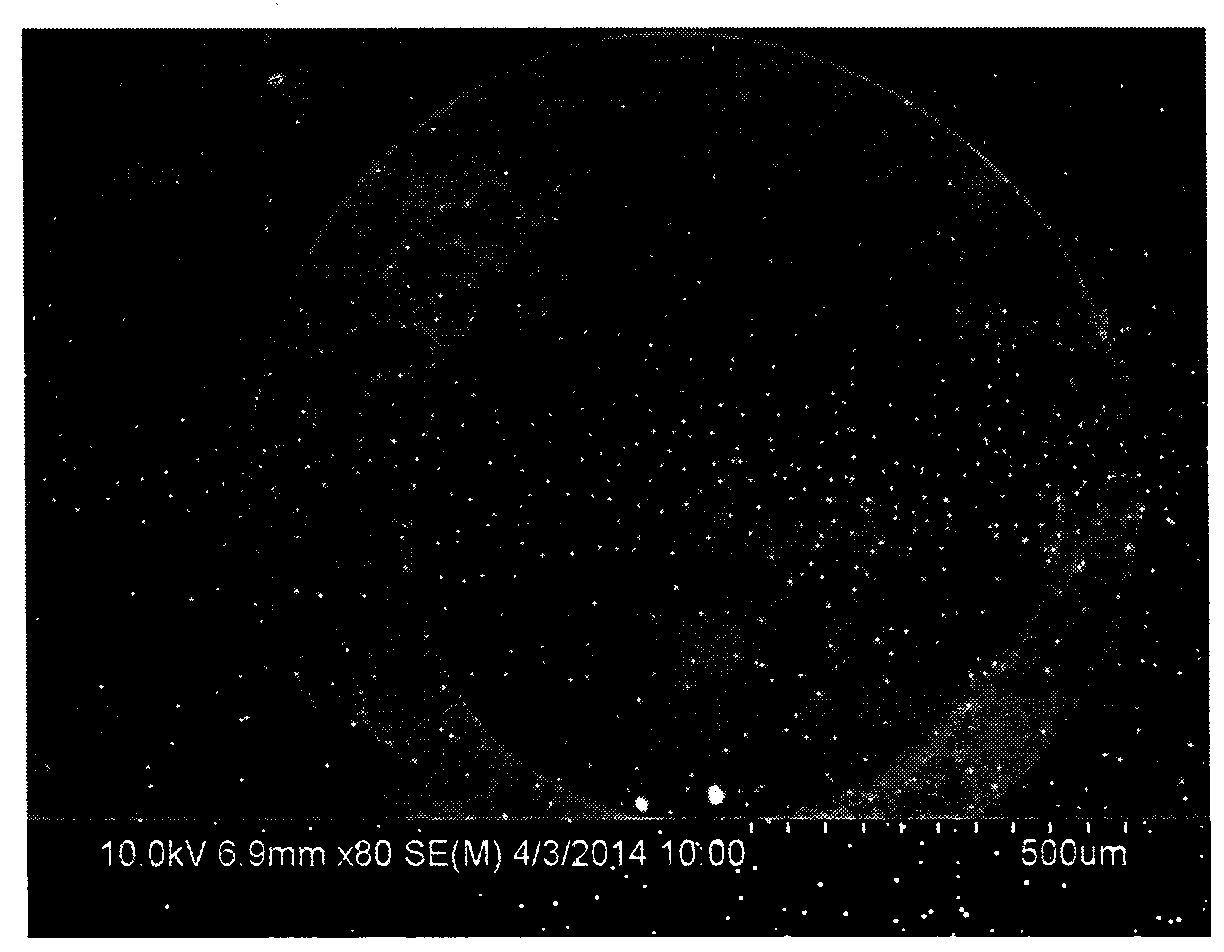 Preparation method of hollow polyimide fiber membrane applied to sulfide adsorption