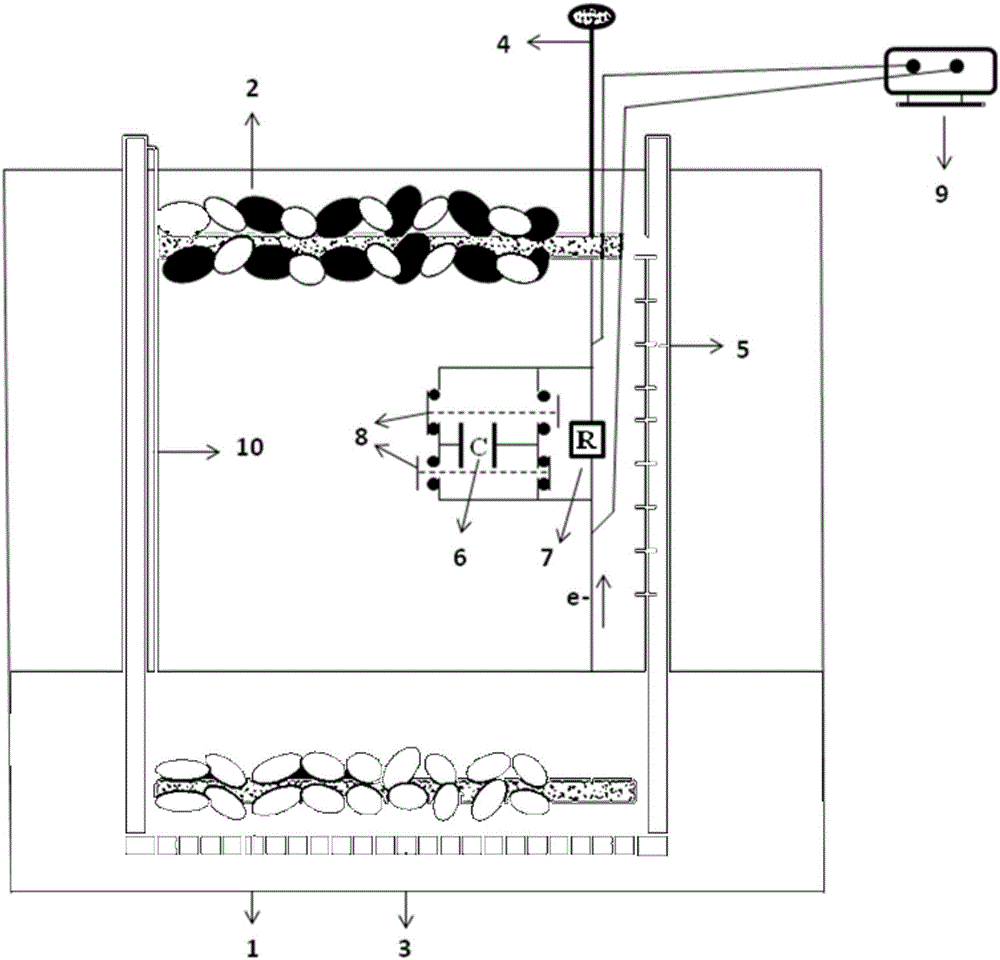 Deposition-type phycomycetes biological electrochemical apparatus