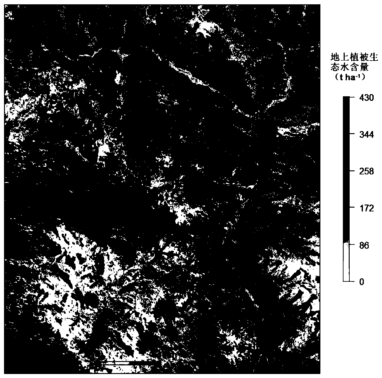 Overground vegetation ecological water quantitative inversion method based on remote sensing technology