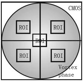 A Vortex Digital Holographic Microscopy System Based on Dual Liquid Crystal Spatial Light Modulators