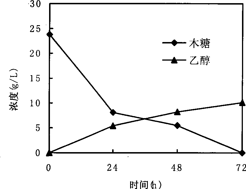 In situ detoxication alcohol fermentation method of ligno-cellulose hydrolysate using single strain