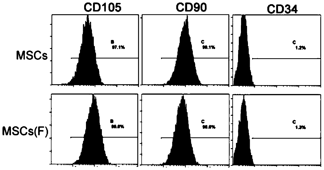 Preparation method of improved mesenchymal stem cells and application thereof