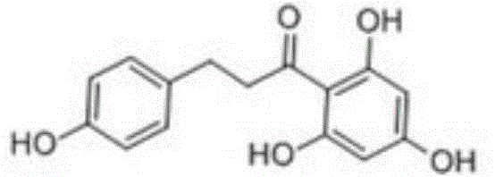 Method for preparing high-purity phloretin by utilizing shaddock peels