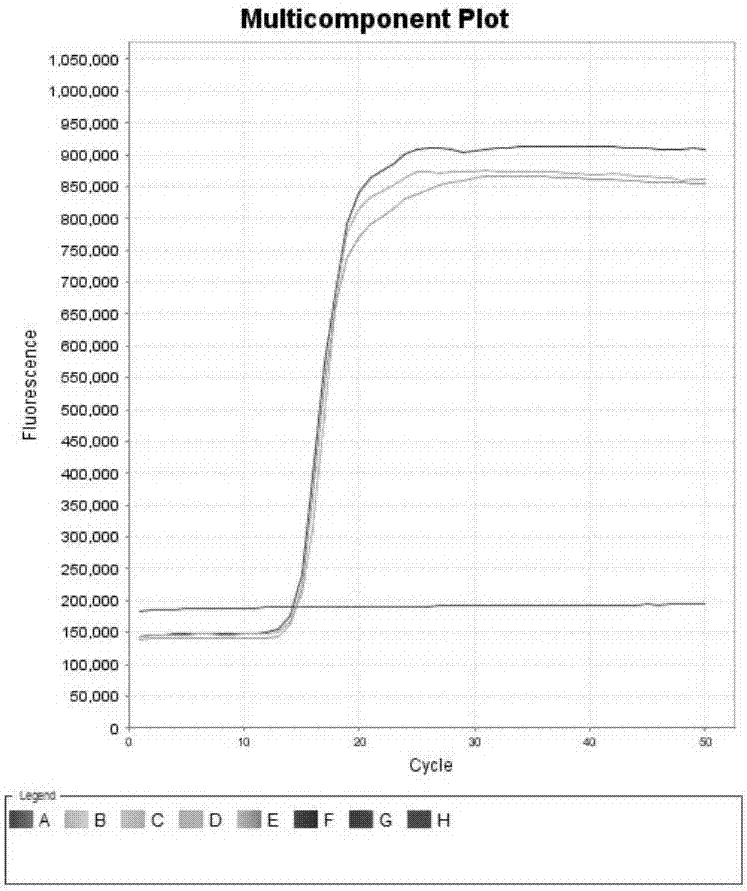 LAMP primer composition for detecting two main parasites causing calf diarrhea and application of LAMP primer composition