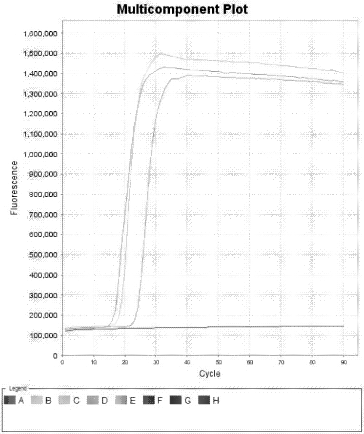 LAMP primer composition for detecting two main parasites causing calf diarrhea and application of LAMP primer composition