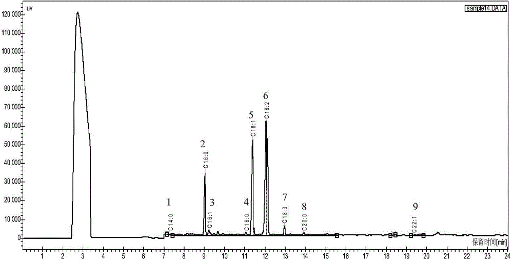 Comprehensive utilization method of cumin and prepared product