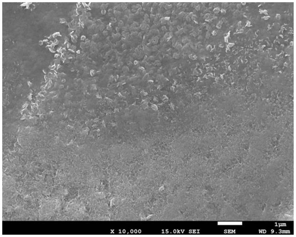 Preparation method of spinel coating and its application in preparation of solid oxide fuel cells