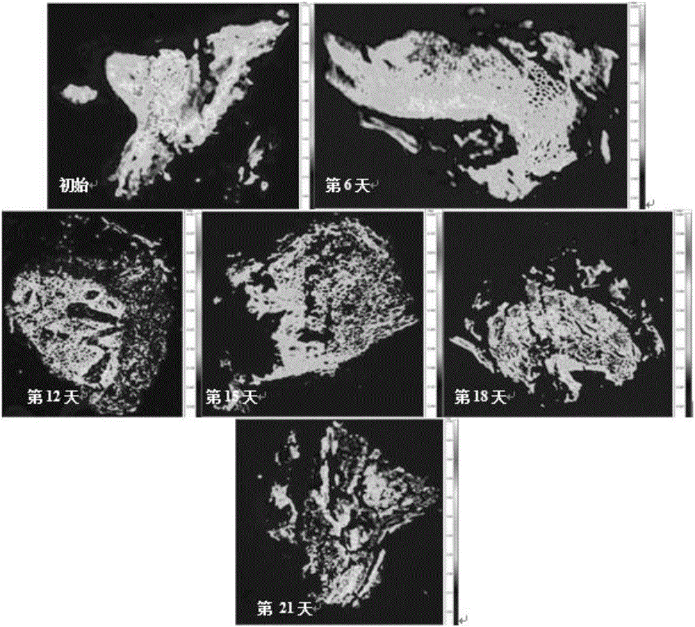 Characterization method for biogas residue aerobic composting fermentation maturity