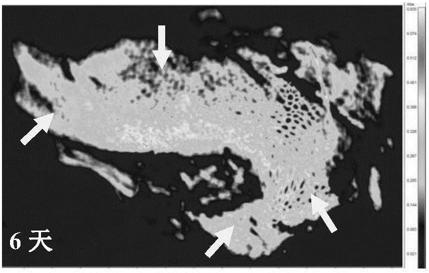 Characterization method for biogas residue aerobic composting fermentation maturity