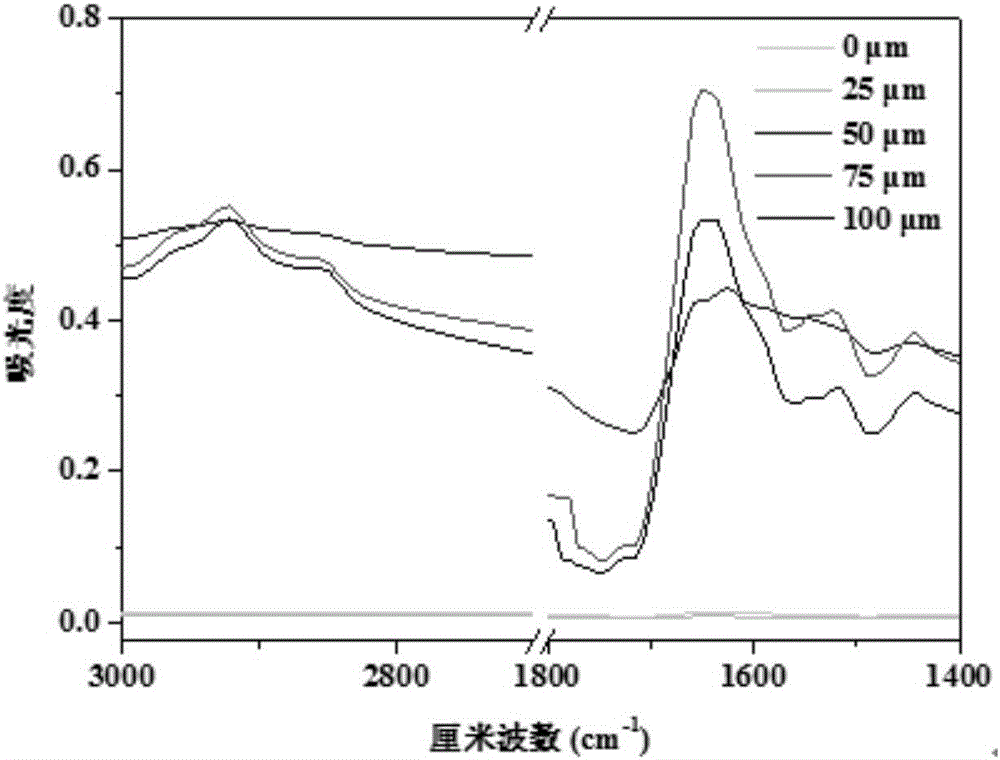 Characterization method for biogas residue aerobic composting fermentation maturity