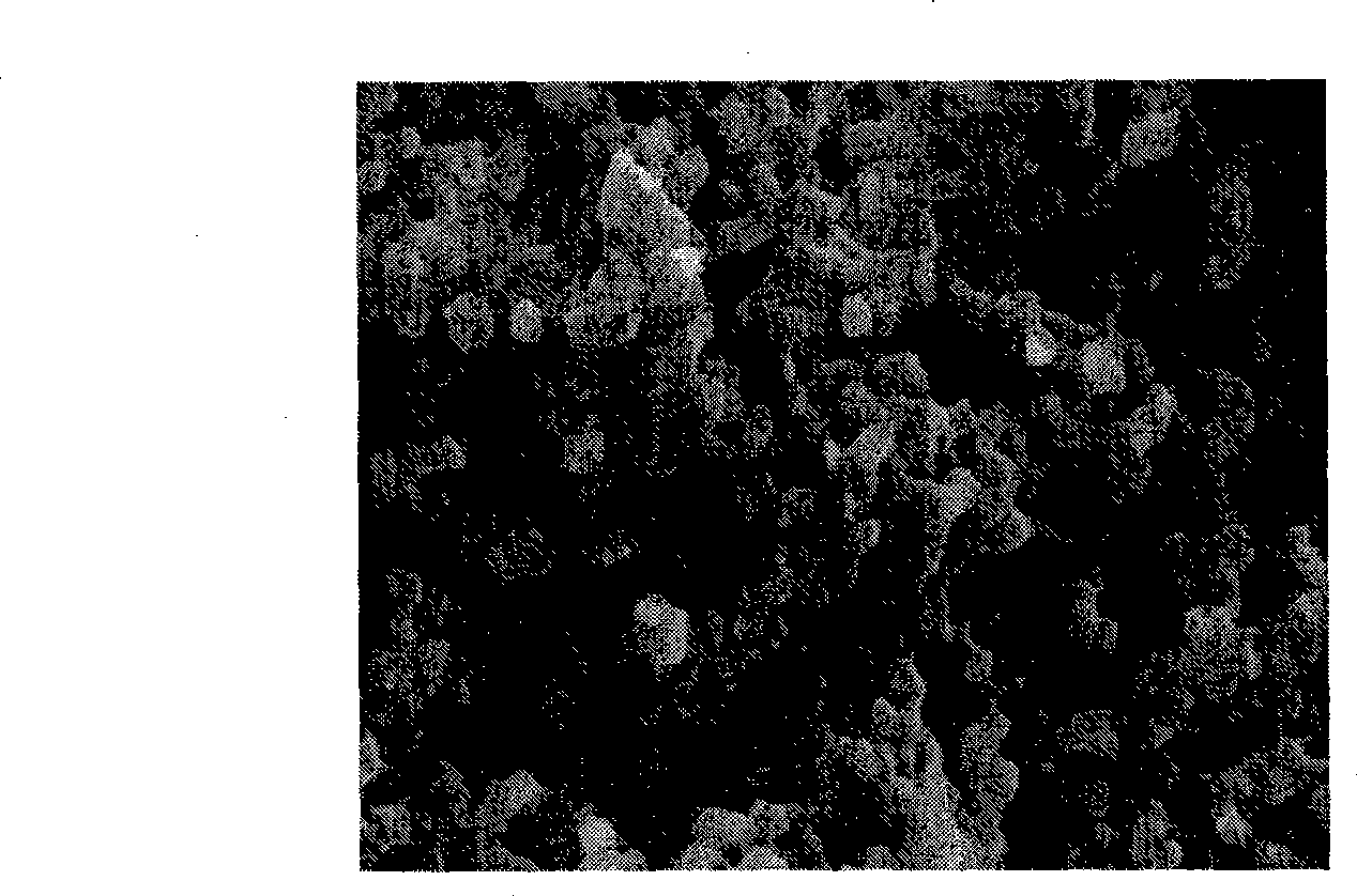 Composition and film for producing polymer dispersion liquid crystal, and producing method thereof