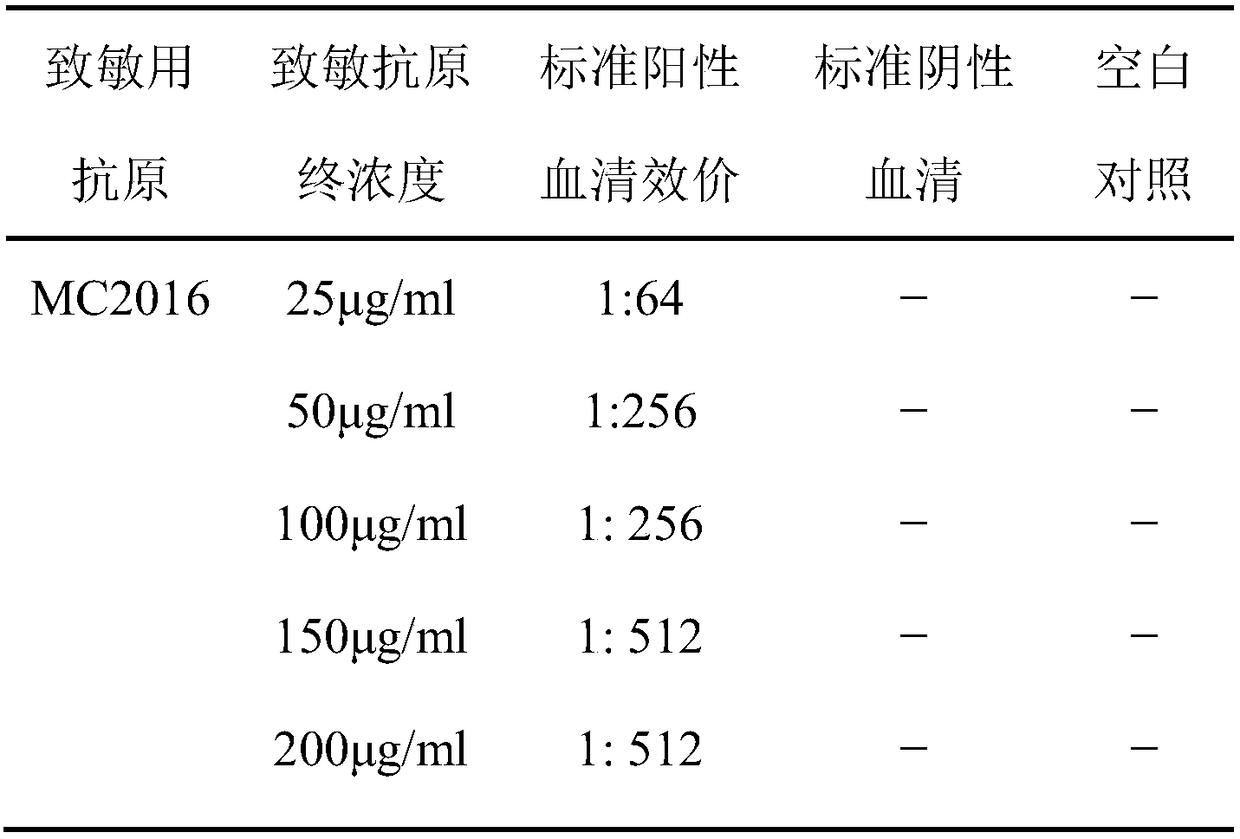 Detection kit for indirect coagulation antibody against Staphylococcus saprophyticus and preparation method thereof