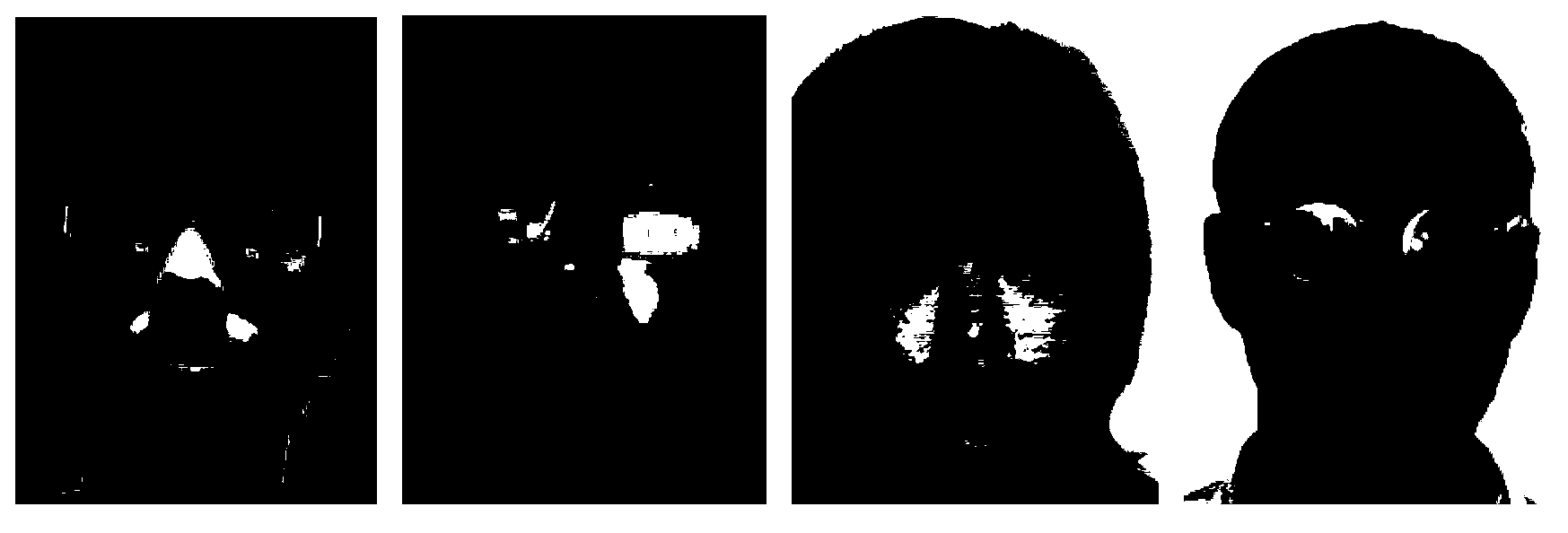 Method and device for fusing multiple feature weights for face recognition