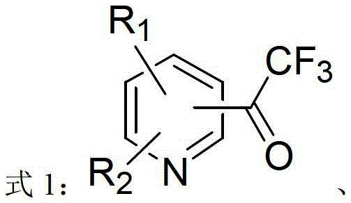 Heterocycle-containing trifluoromethyl ketone compound and preparation method thereof