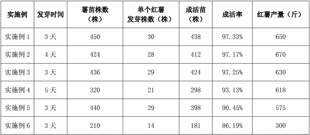 Efficient and high-yield sweet potato cultivation method