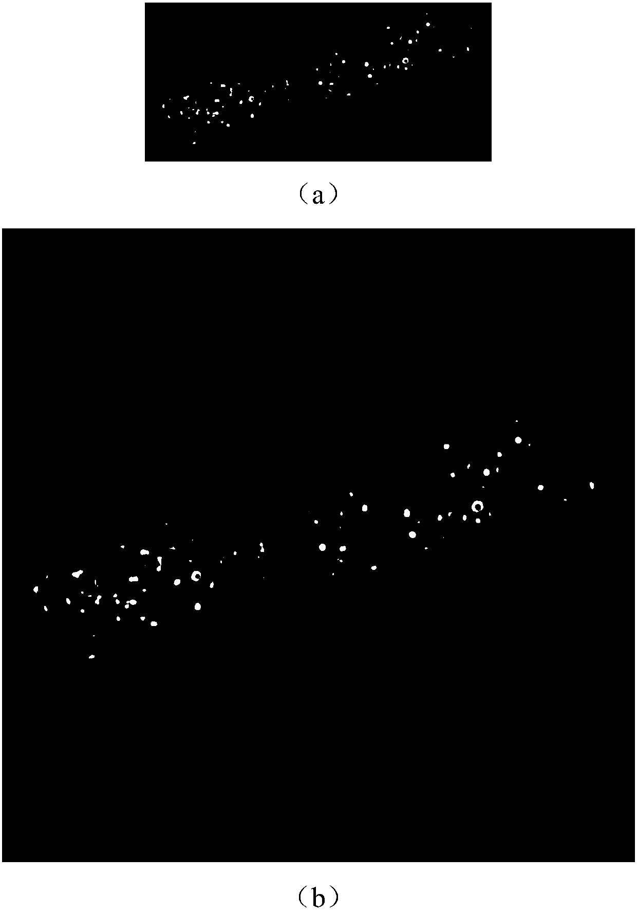 Model construction method for cell image classification