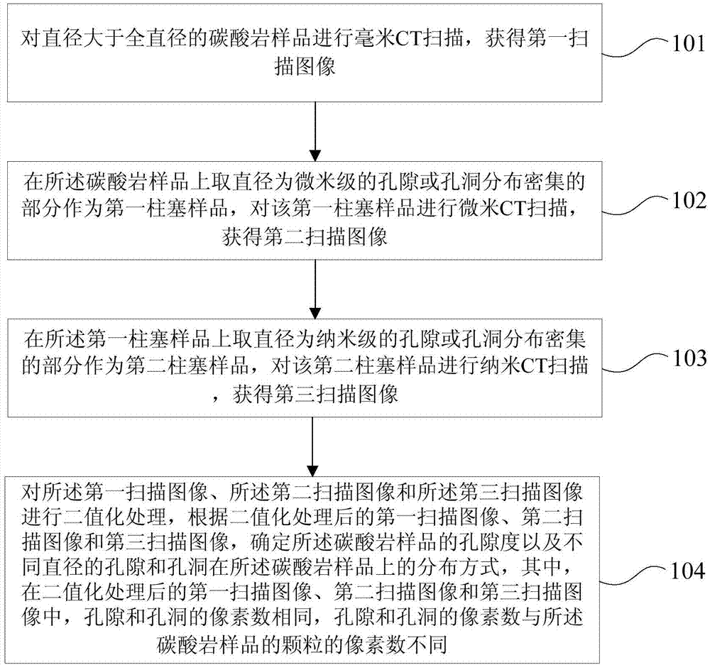 Device and method for determining multiscale porous characteristics of carbonatite