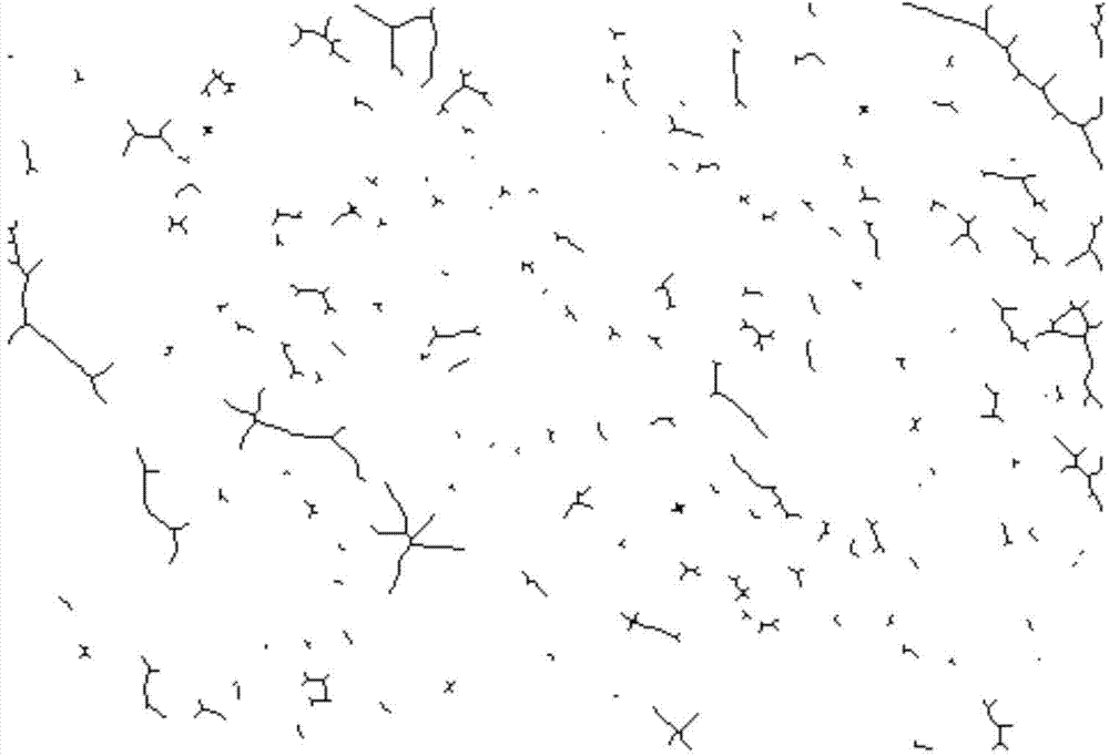 Device and method for determining multiscale porous characteristics of carbonatite