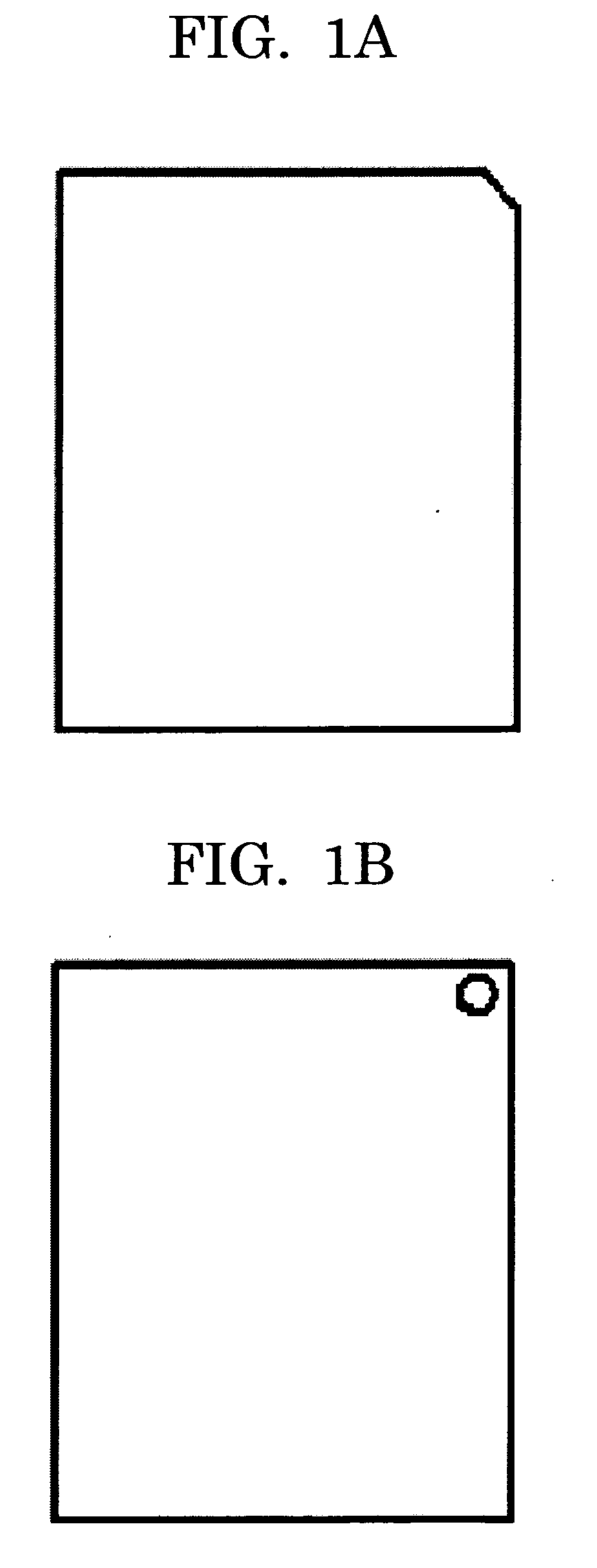 Reusable electrophotographic recording medium and method for producing the same, image forming method, and method for repeatedly using electrophotographic recording medium