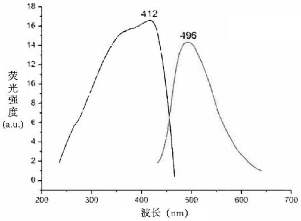 Cell sugar transport channel inhibitor