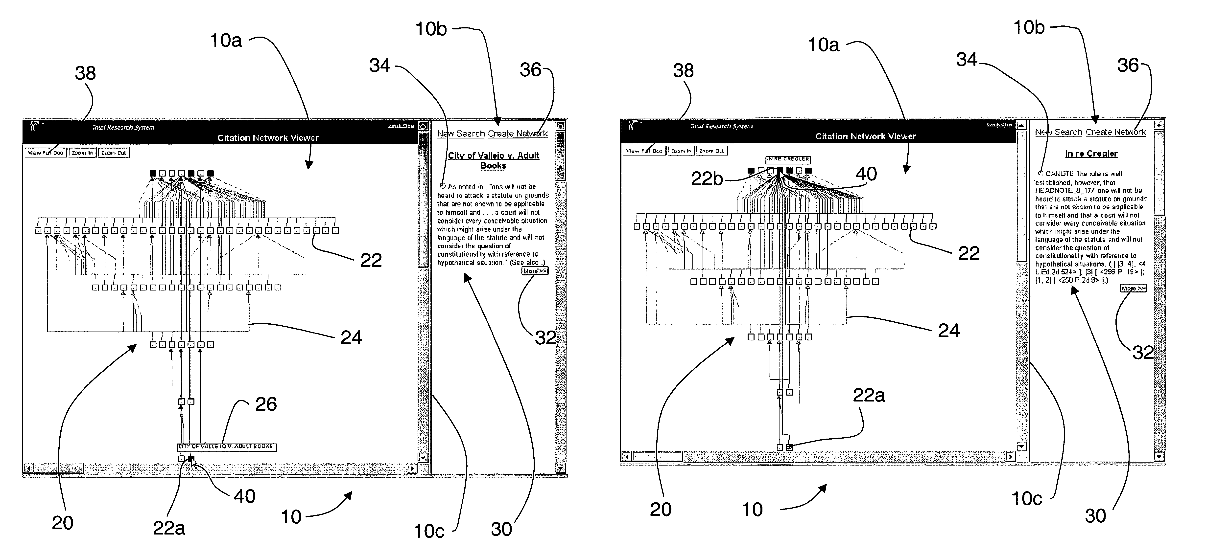 Citation network viewer and method