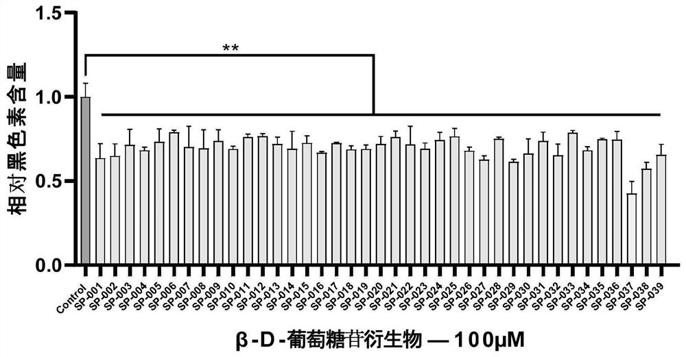 Application of salidroside derivative in external preparation for skin whitening