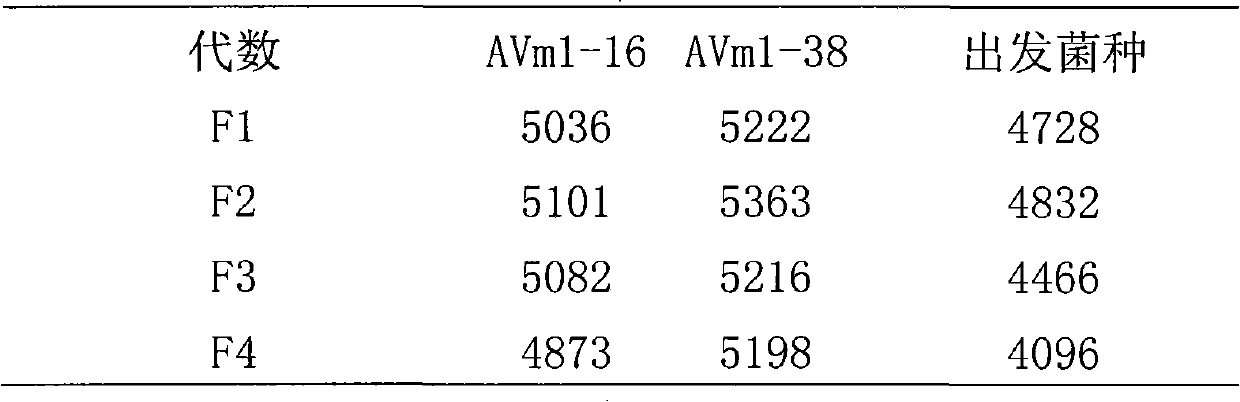 Method for screening methionine resistant deinsectization streptomyces avermitilis strain