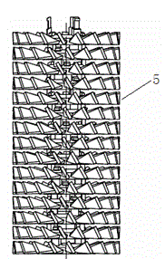 Screw type degassing sewage disposal device