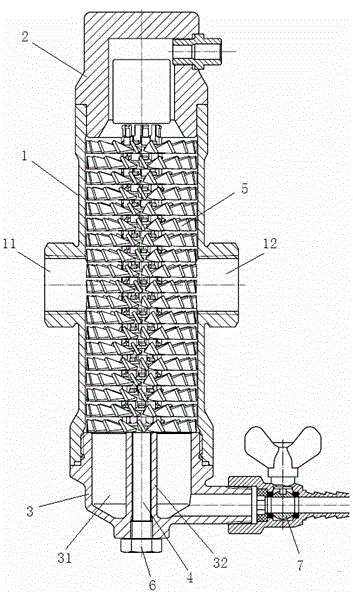 Screw type degassing sewage disposal device