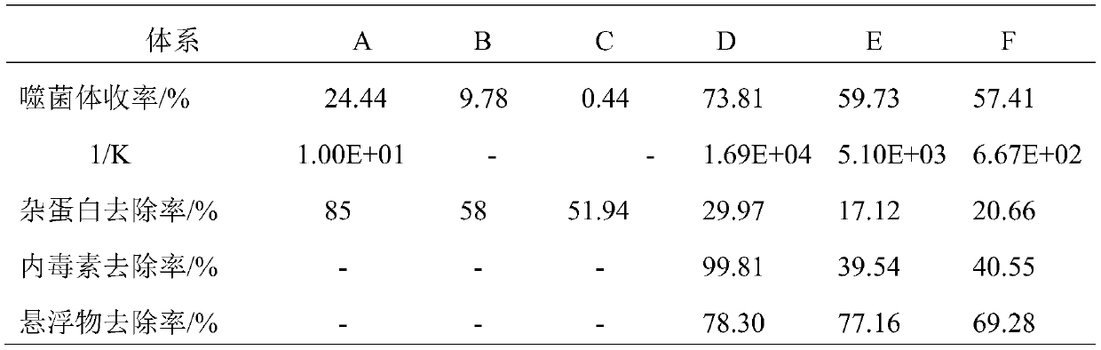 Method for separating and purifying phage in phage lysate by two-step salting-out extraction