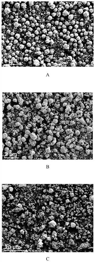 Multifunctional nano-enzyme as well as preparation method and application