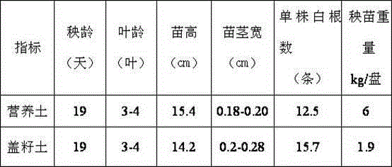 Organic rice seedling raising and seed covering soil and production method thereof