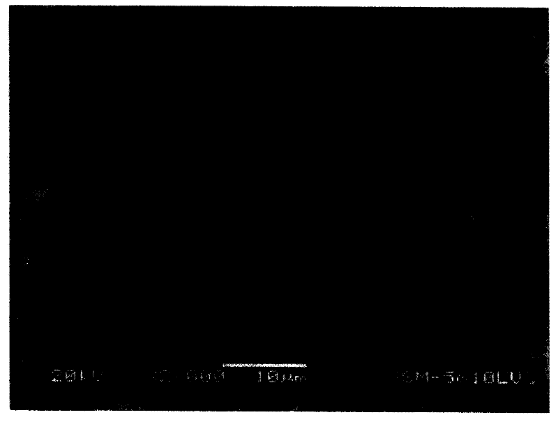 Silicon-containing composite material and its preparation method and application