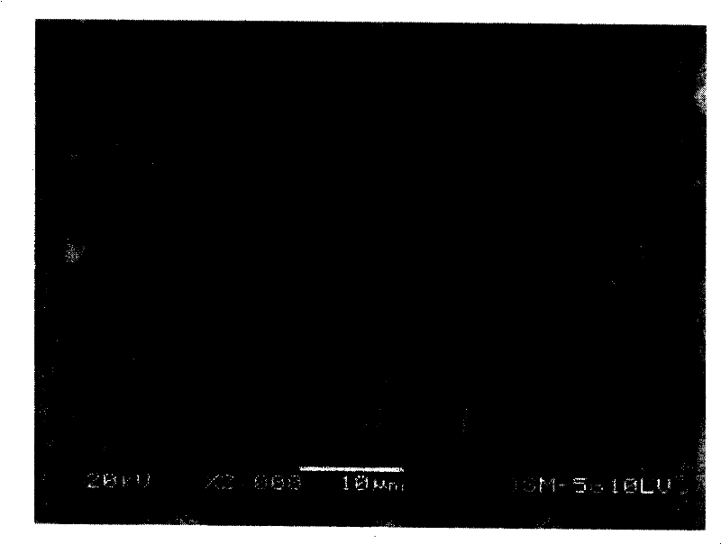 Silicon-containing composite material and its preparation method and application