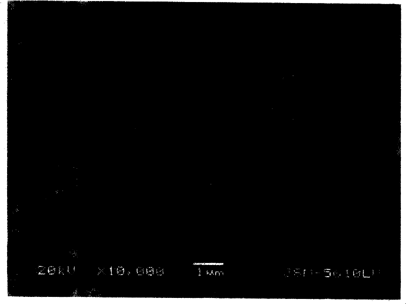 Silicon-containing composite material and its preparation method and application