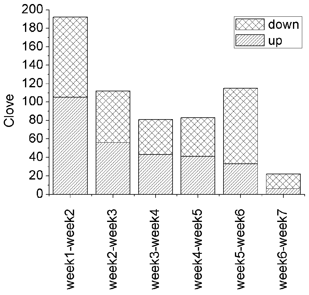 Metabonomics analysis method for garlic bulb components in different growth stages