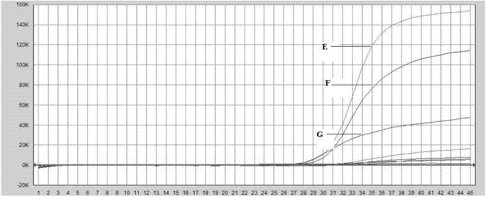 Kit for fluorescence quantitative PCR (polymerase chain reaction) detection of main porcine viruses