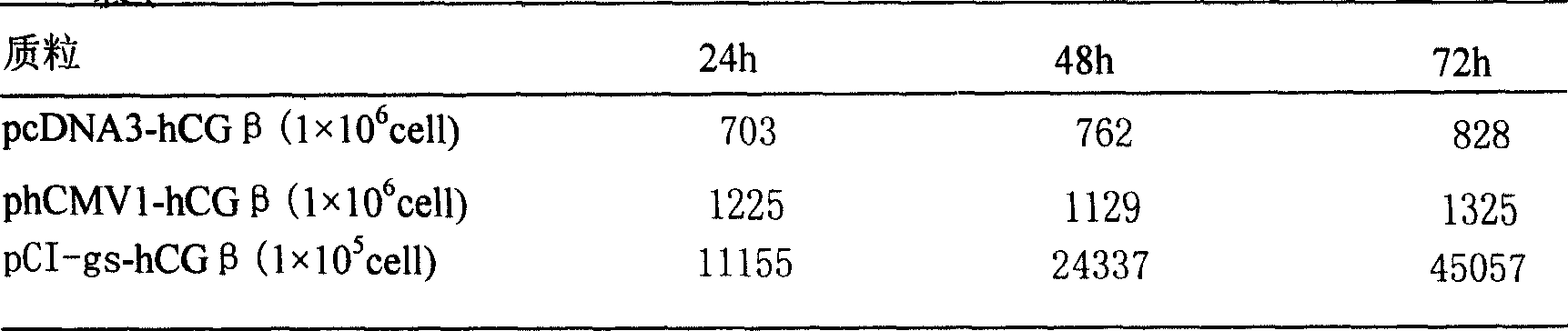 Method for preparing human chorion gonadotrophic hormone beta subunit