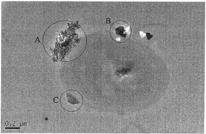 Biological dechromizing medium, preparation method thereof and biological dechromizing method