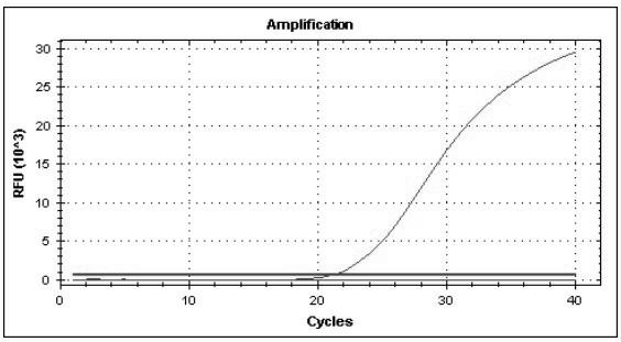 Multiple real-time quantitative PCR primer, probe and detection method for identifying viral pathogens relevant to fever with eruption syndrome as infection diseases