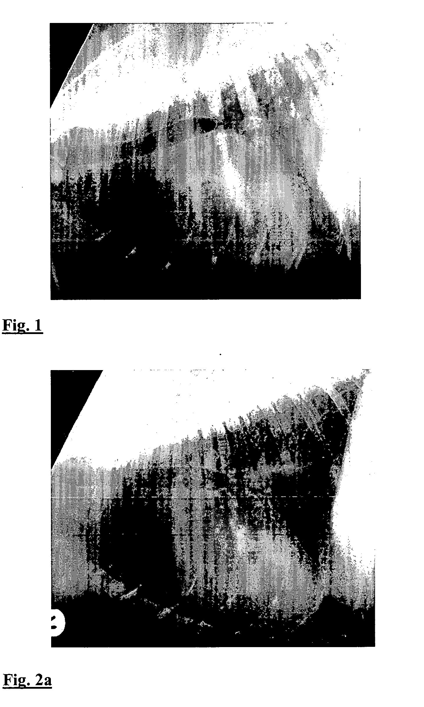 Use of PDE III inhibitors for the reduction of heart size in mammals suffering from heart failure