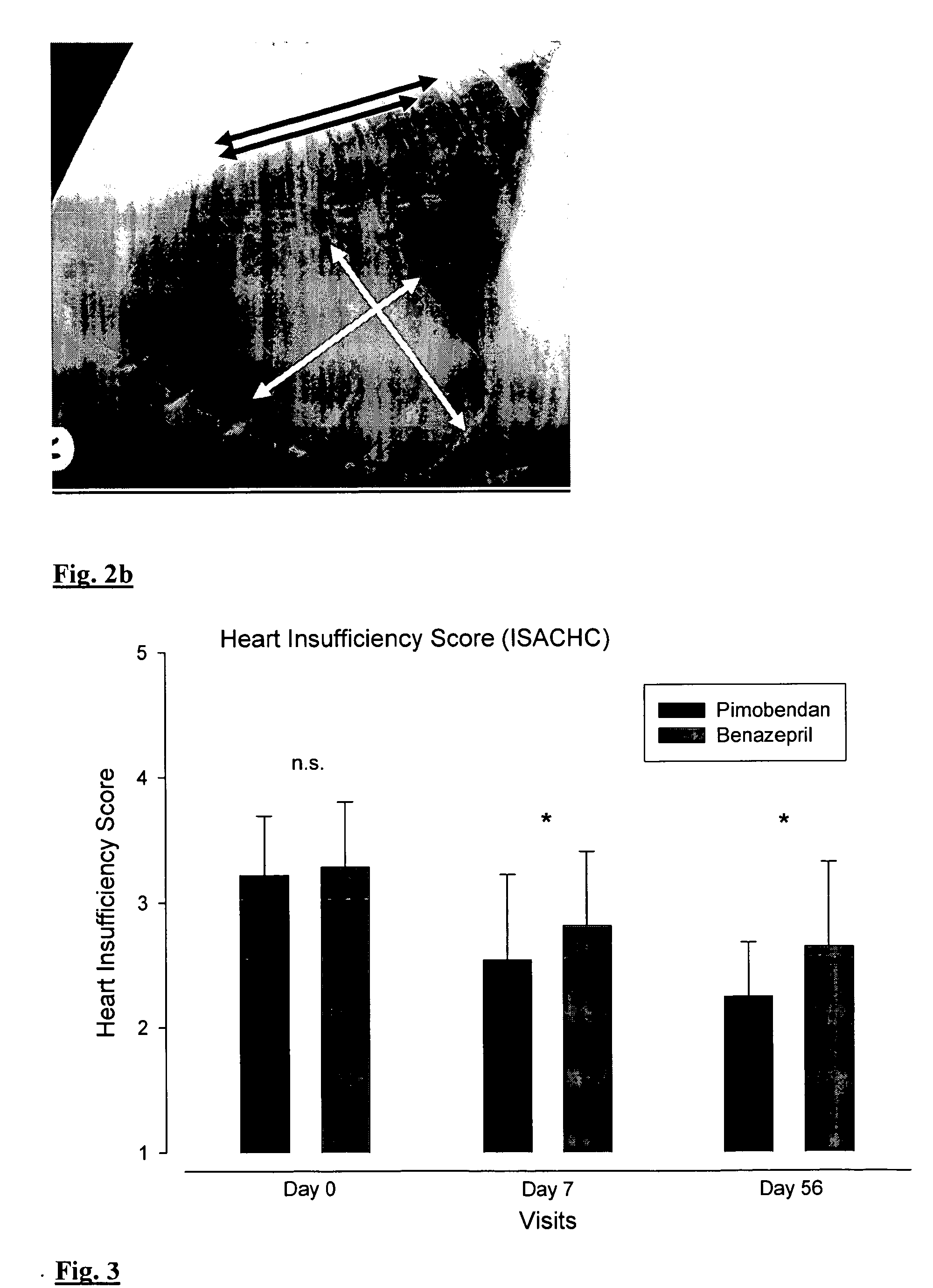 Use of PDE III inhibitors for the reduction of heart size in mammals suffering from heart failure