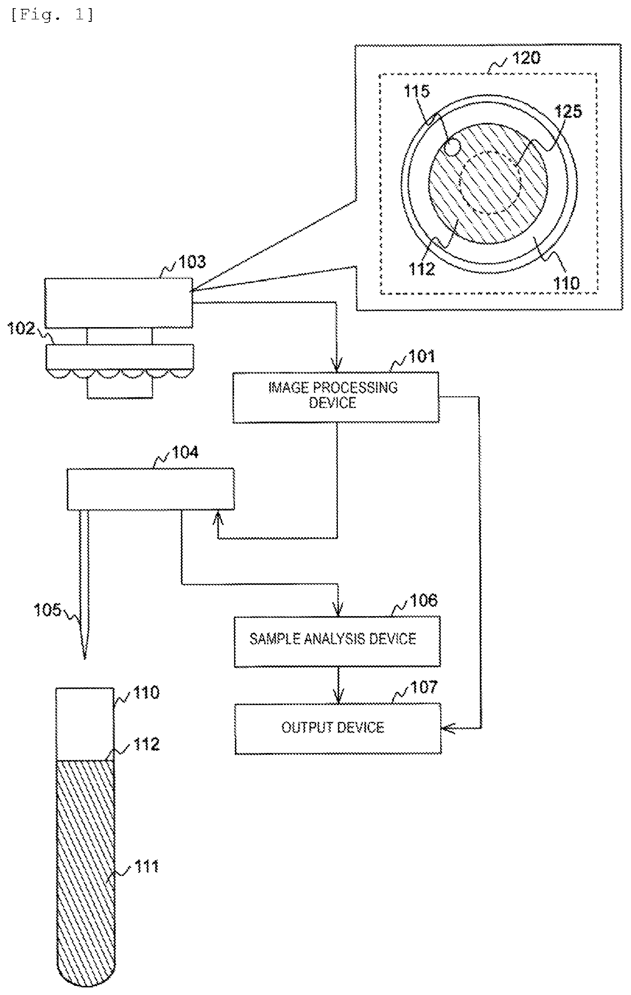 Apparatus, method for determining state of sample, and analysis system