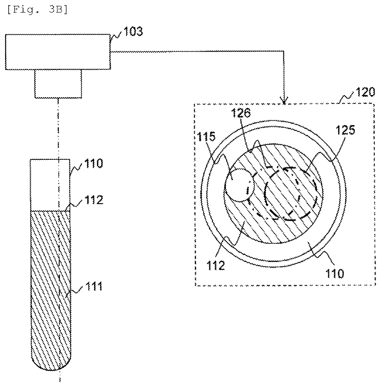 Apparatus, method for determining state of sample, and analysis system